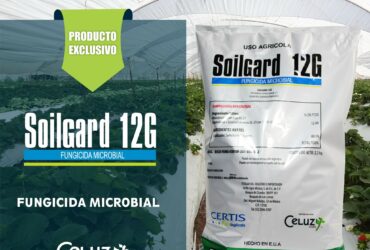 SOILGARD 12G (Fungicida Microbial)