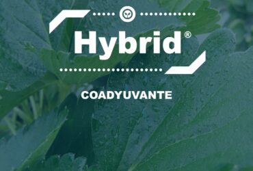 HYBRID (producto para el campo)